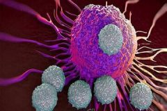«دی‌ان‌ای» مصنوعی؛ راهی جدید برای نابودی سرطان