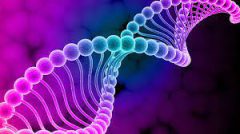 در آینده نزدیک شاهد تحقق ذخیره داده‌ها در DNA   خواهیم بود