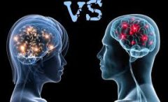 شناسایی تفاوت‌هایی قابل توجه در مغز مردان و زنان توسط هوش مصنوعی